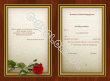 List gratulacyjny B5 ( z różą) - 3