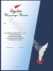 Dyplom Koperta "Dyplom Wzorowego Ucznia" z piórkiem z kokardką